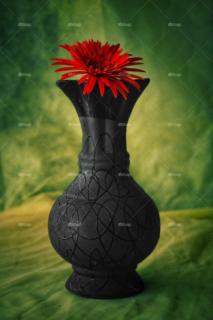 flower vase images