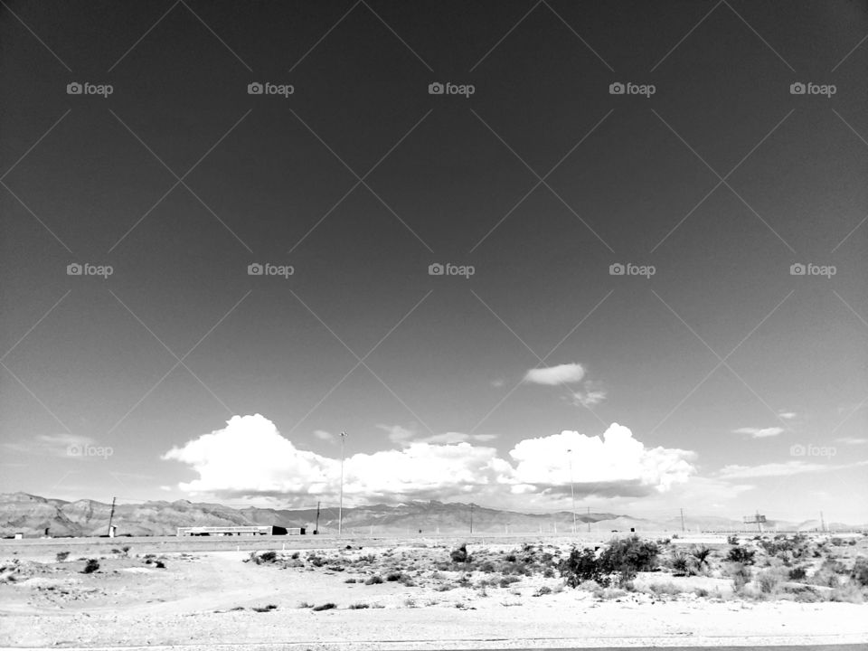 A little black and white