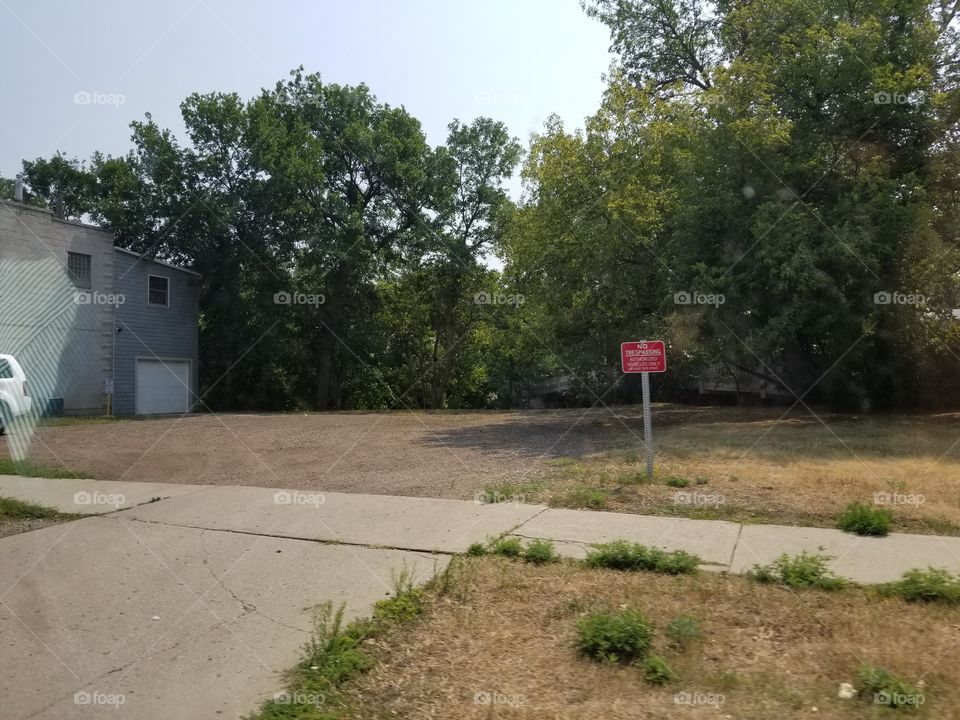 Landscape, Tree, Road, Calamity, Flood
