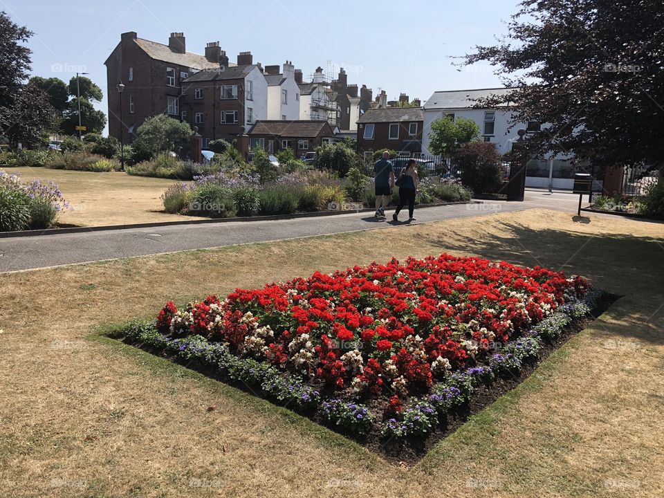 I am grabbing this lovely photo of Manor Gardens In Exmouth, whilst the gardens are still getting watered.