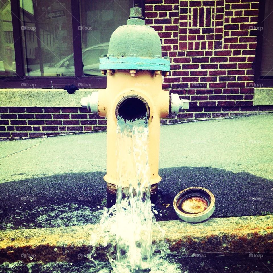 fire hydrant 