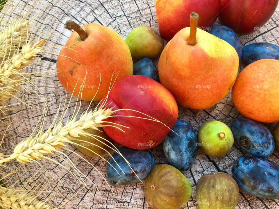 Autumn fruits