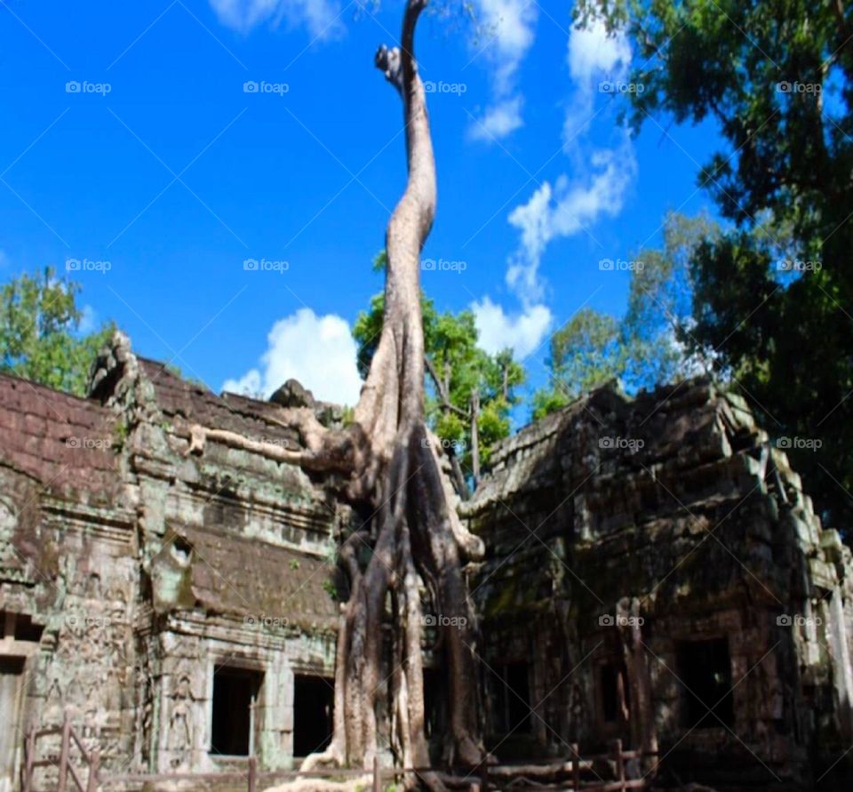 Architectural Marvels 