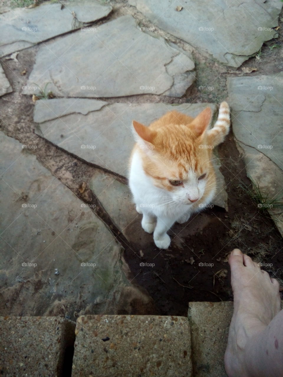 oh wow those sirens are loud sure hope they're not coming for me, they sure are close