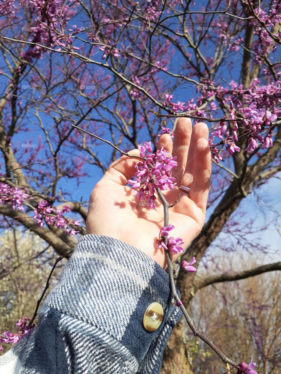 Holding on to Spring