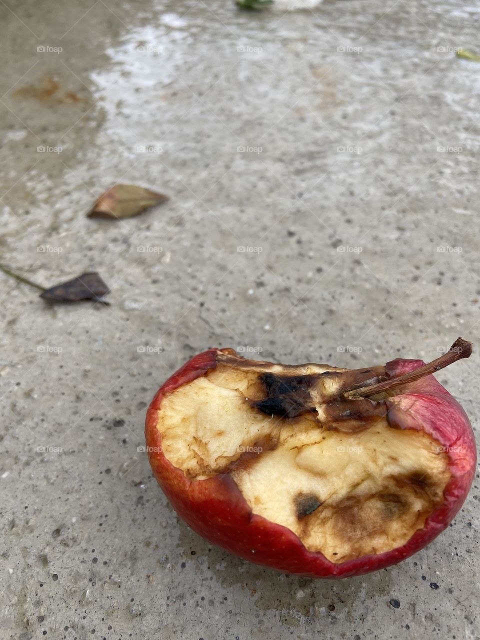 Decomposing rotten apple.