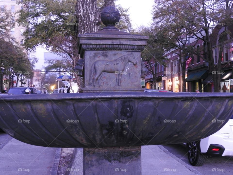 You can lead a horse to water