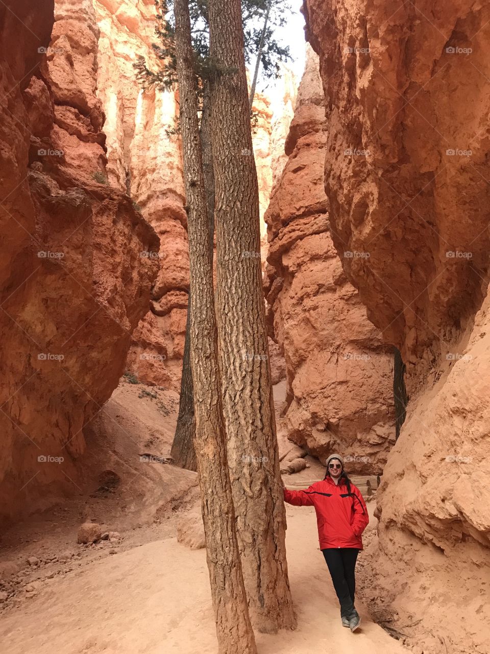 Girl and huge tree att bryce Canyon