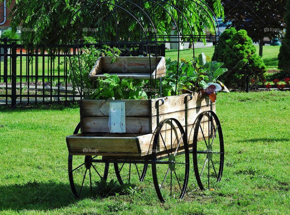 plants new carriage front by delvec