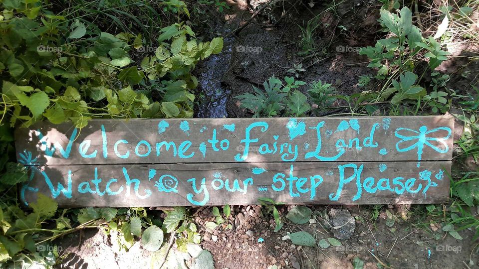 Welcome to Fairy Land