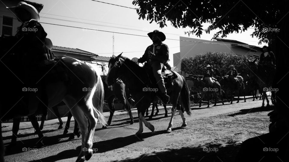 Confraternização, cavalgada nas ruas. Homens e mulheres.  Desfile com animais; tropas,  boiadas e veículos.
