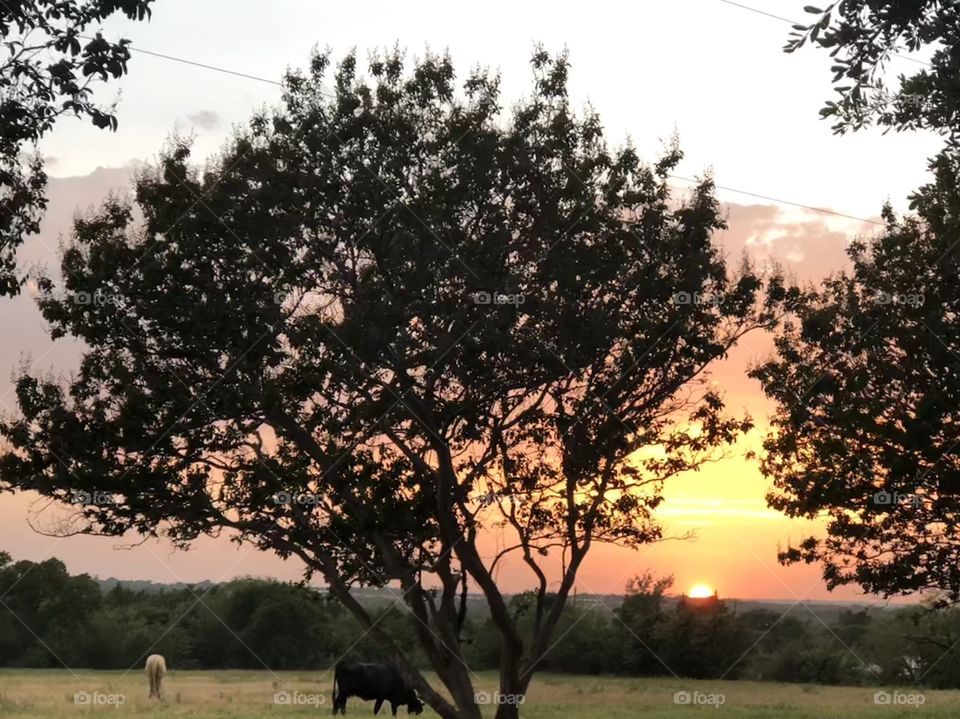 Orange yellow sunset at Selah Ranch 