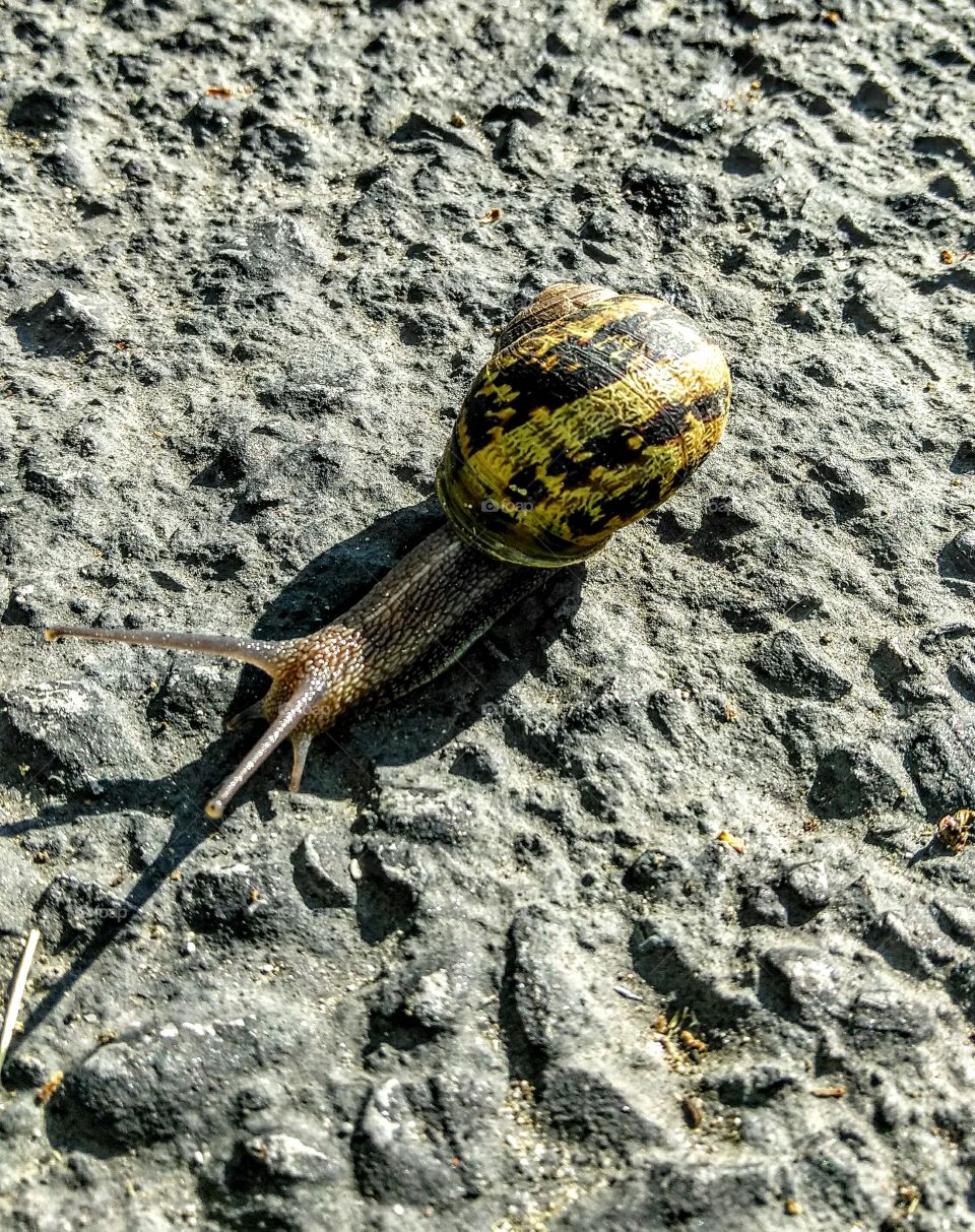 parking lot Crossing