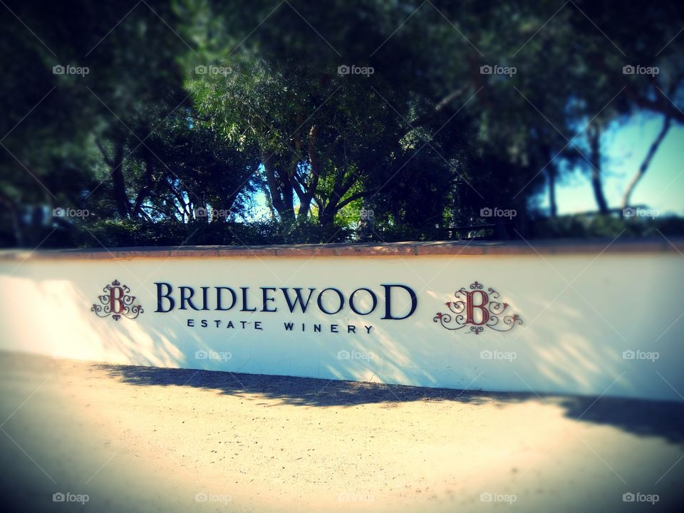 Bridle wood