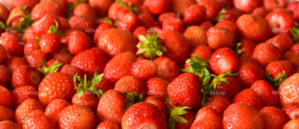 Home grown juicy strawberries
