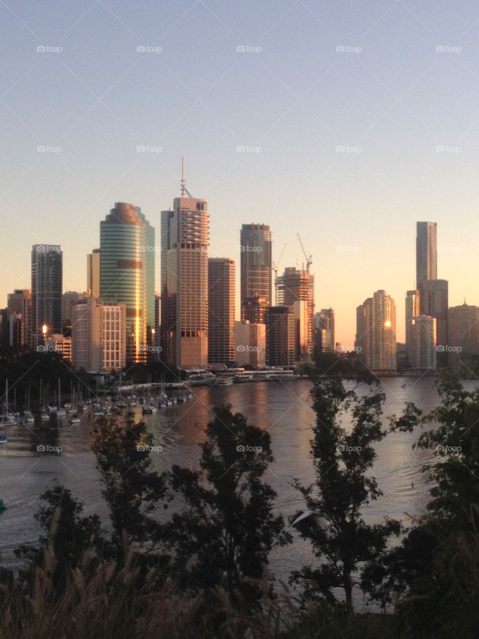 Morning Brisbane City Skyline 