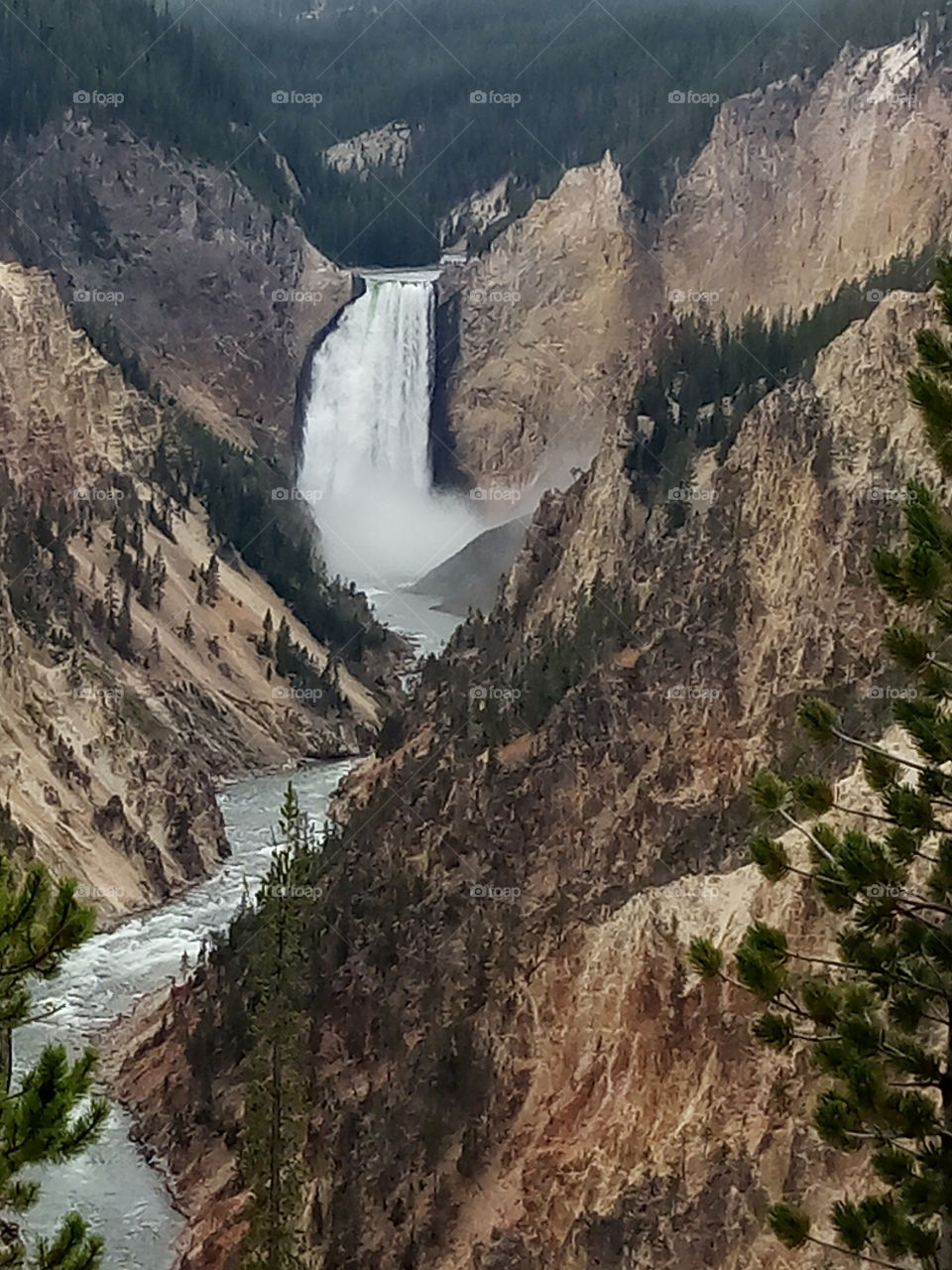 water fall. Yellowstone National Park