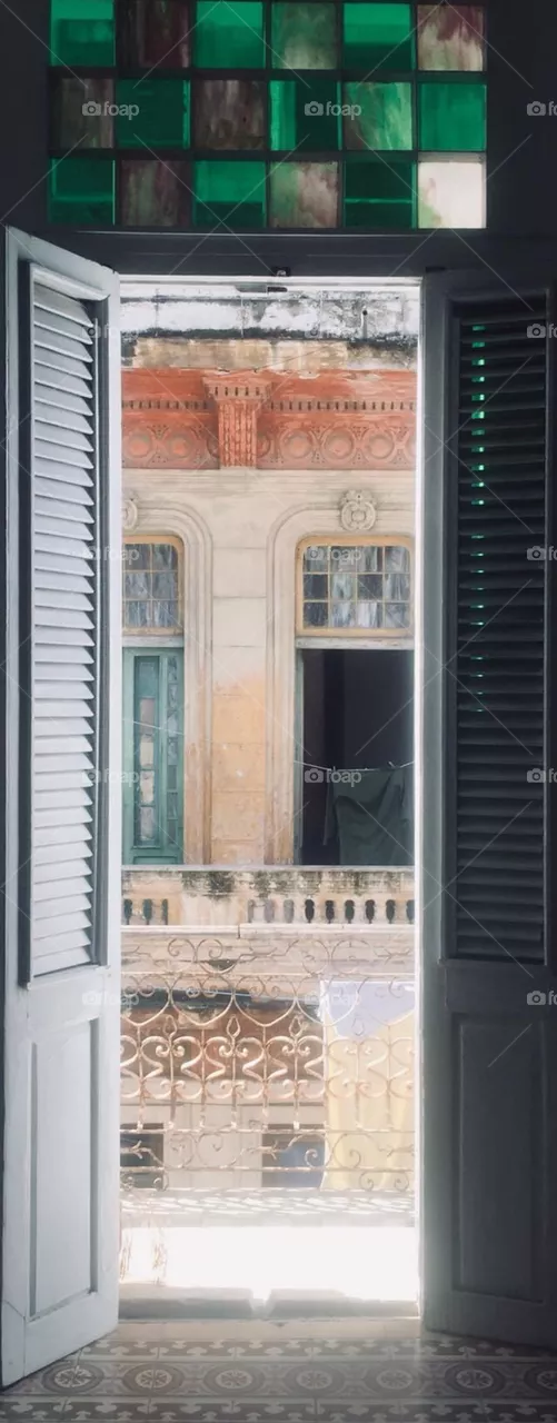 Window views 
