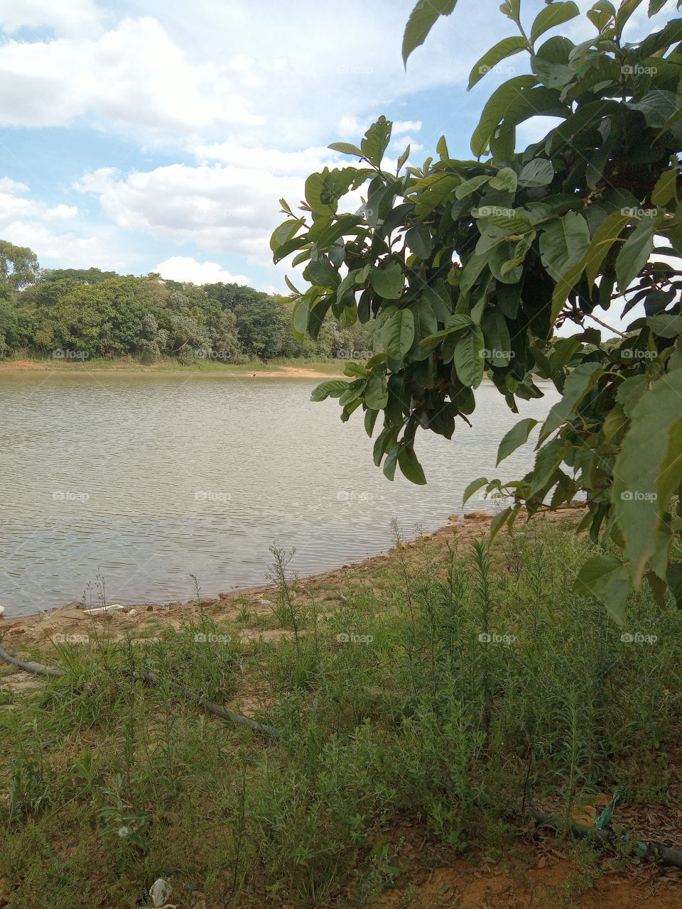 Editors'Choice Photo of the week