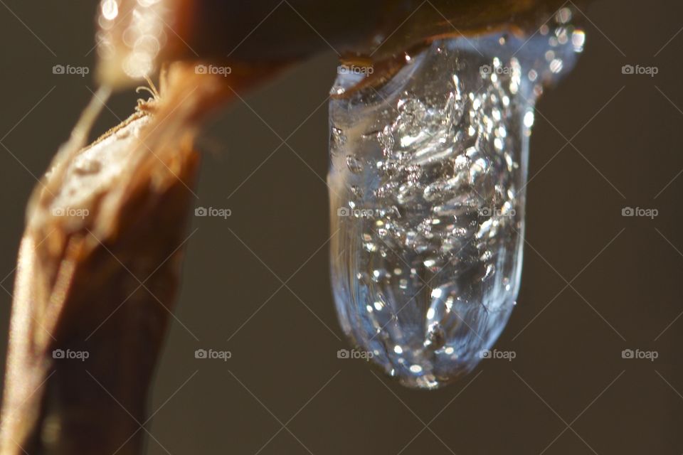 Frozen dew drop