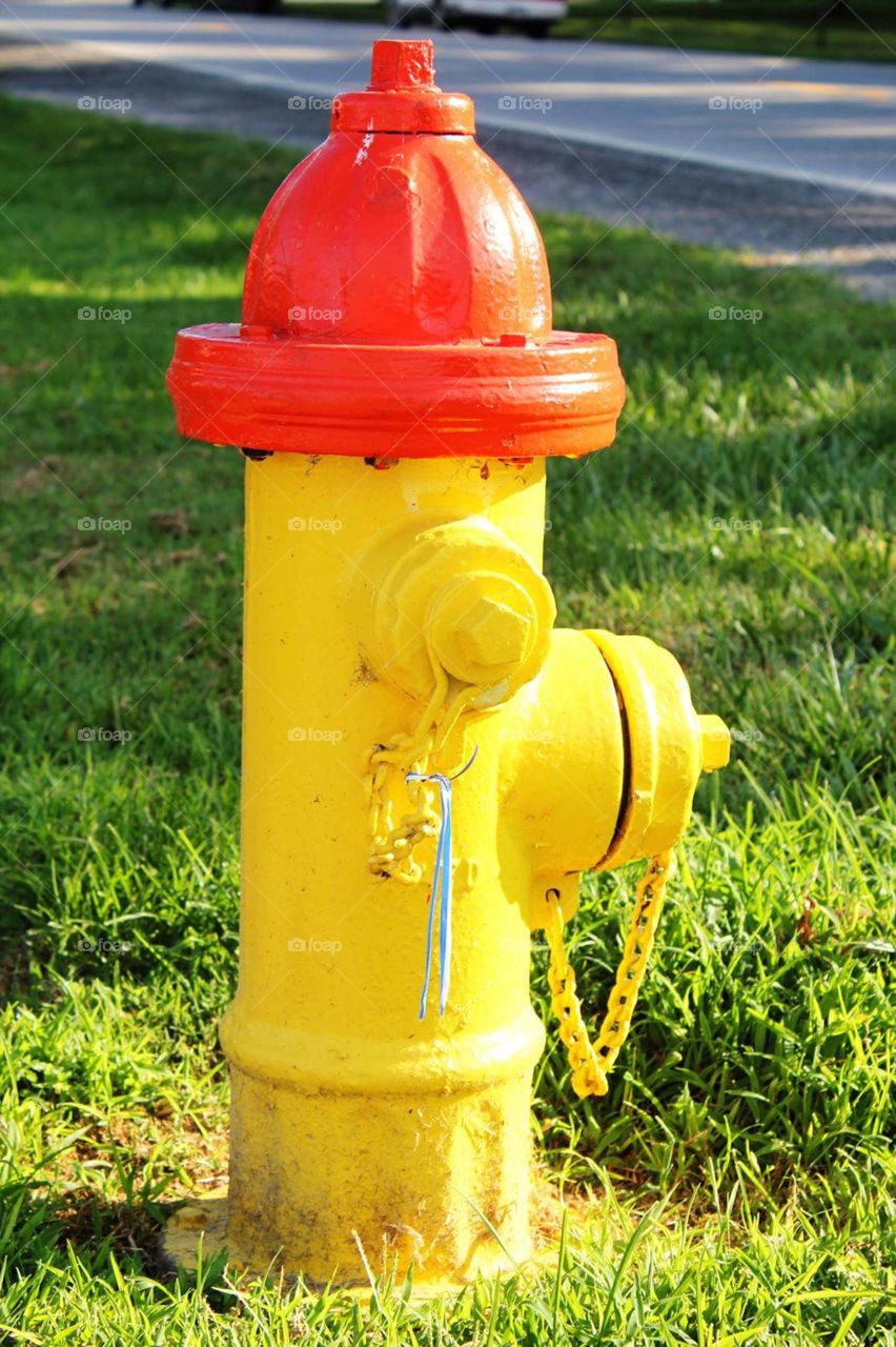 Sundraped Fire Hydrant