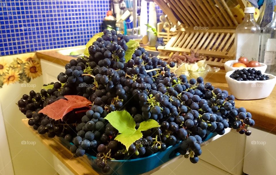 Blue Grapes. Grapes