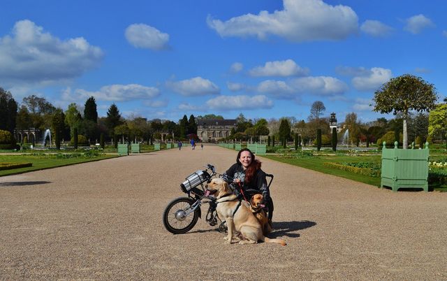 Wheels and dogs