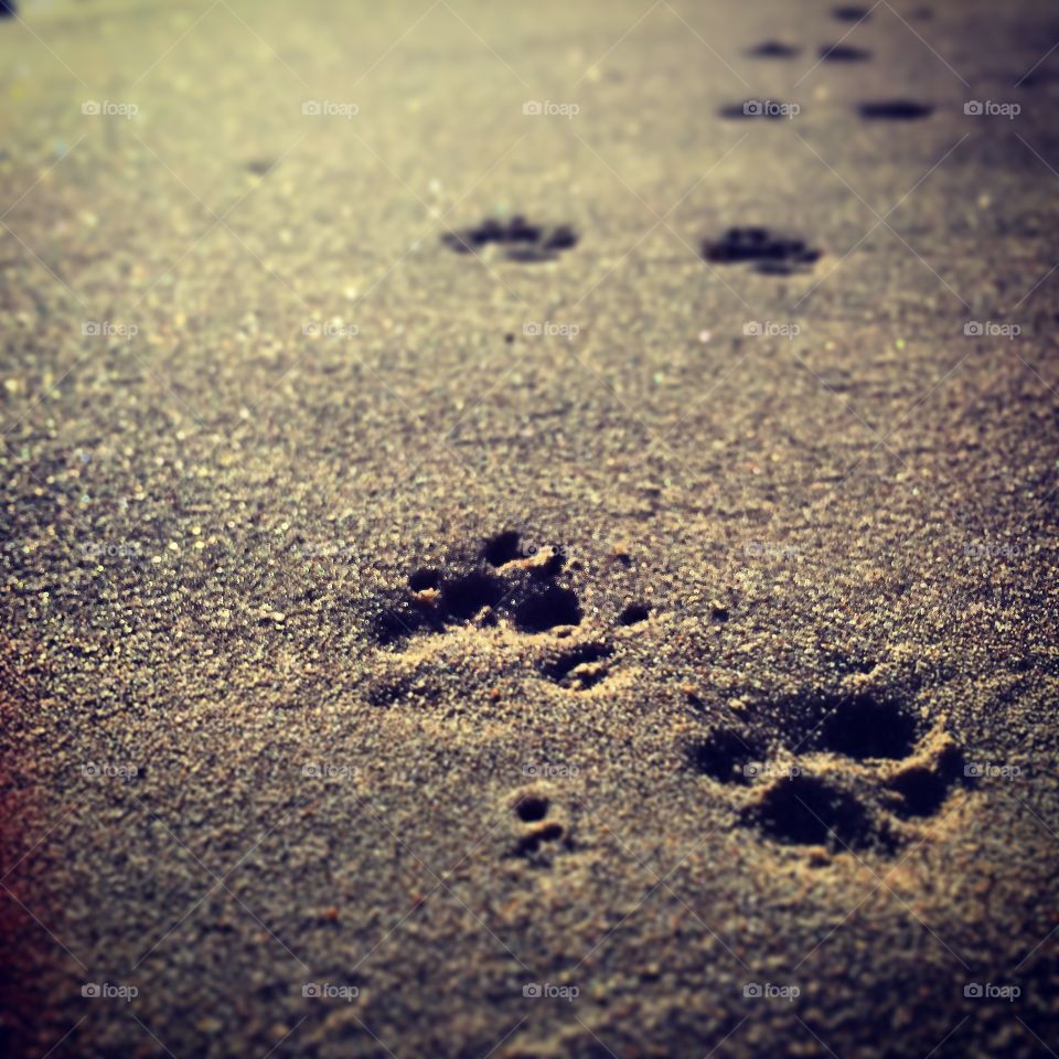 Sand tracks