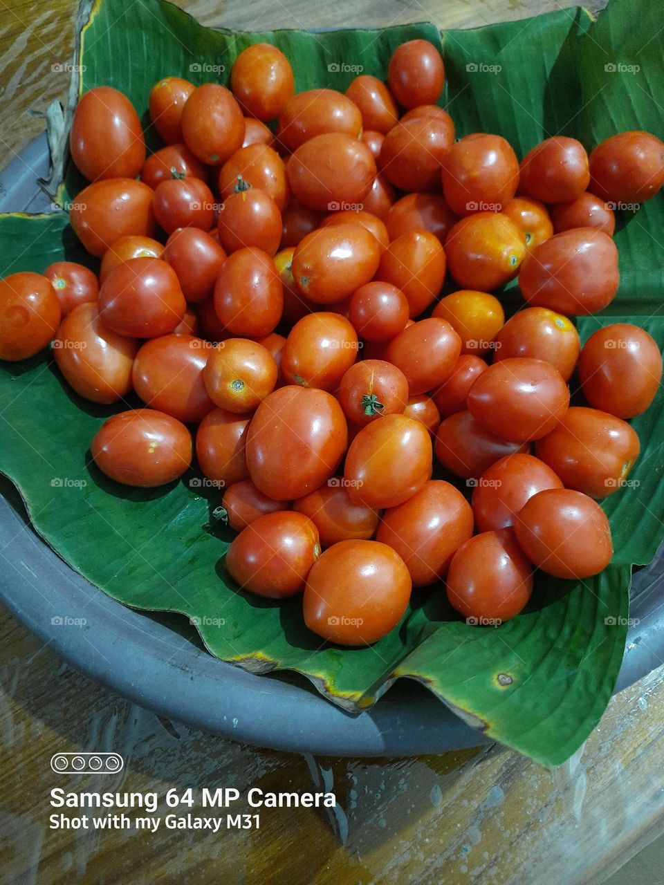 tomato