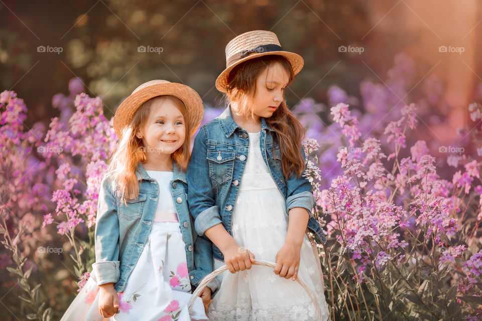 Cute little sisters portrait in blossom meadow at sunset 