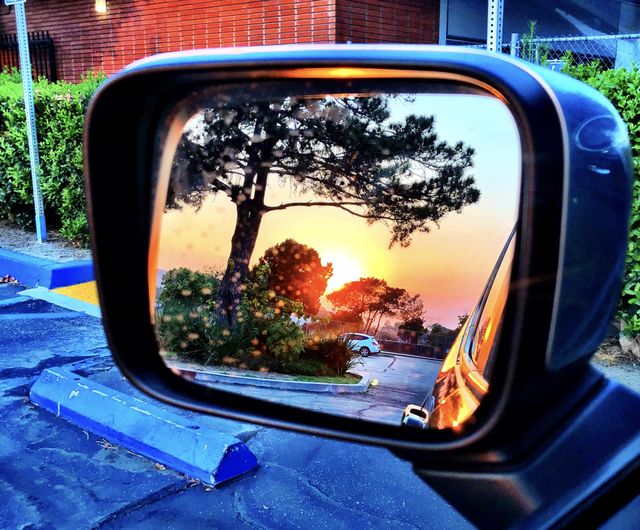 Rear View