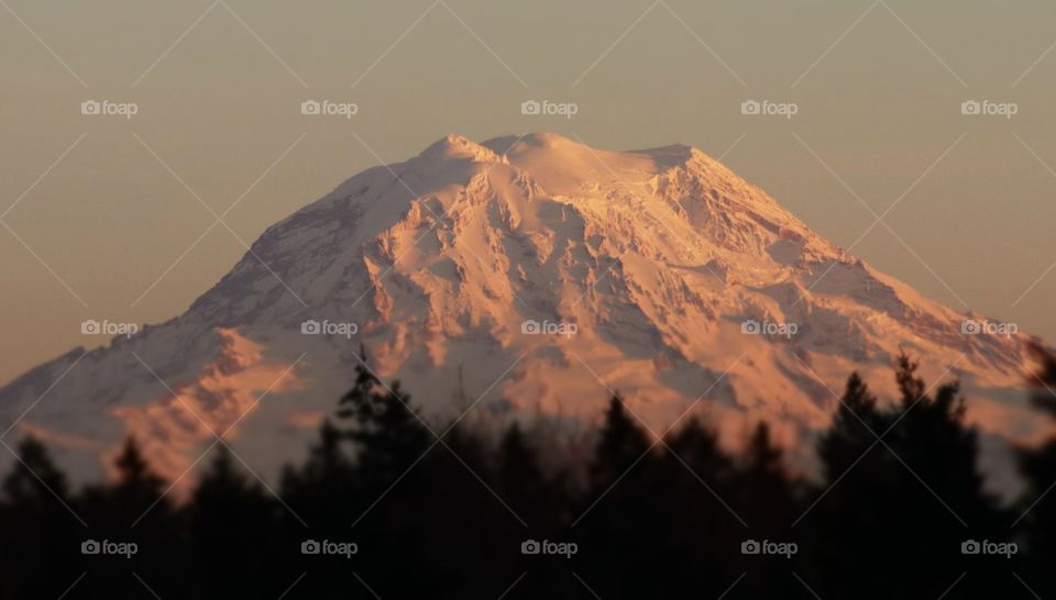 A snowy white Mount Rainier glows at sunset. Photo captured from Tacoma, Washington