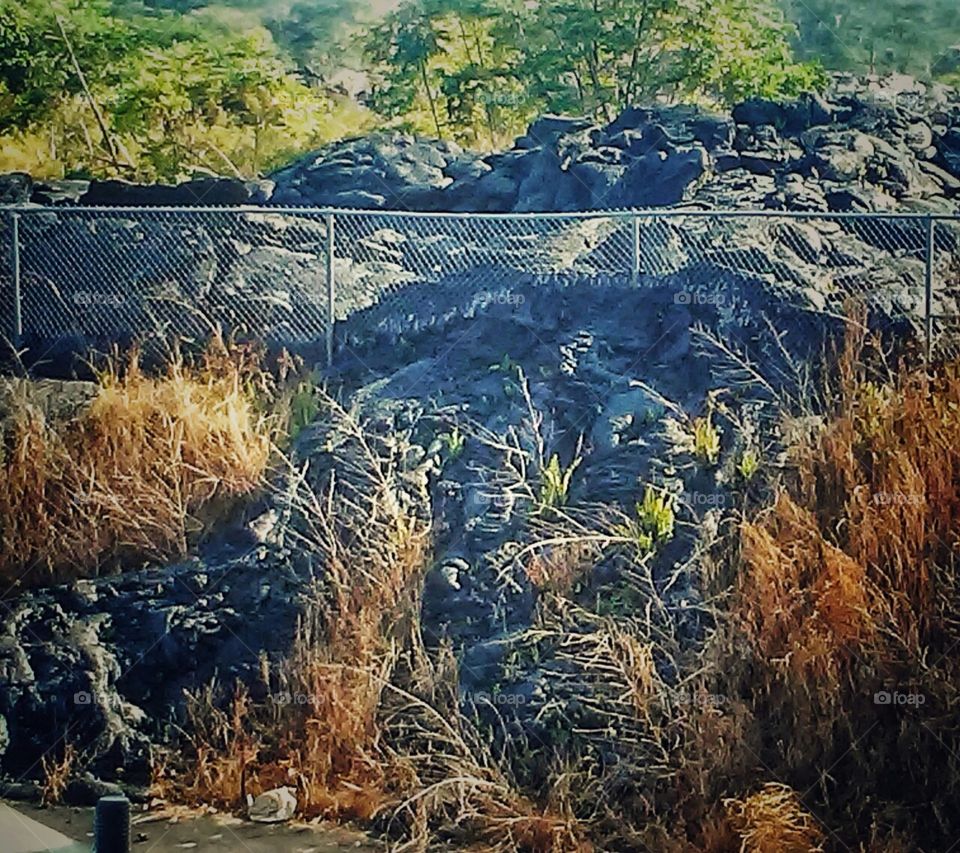Lava breaking through fencing