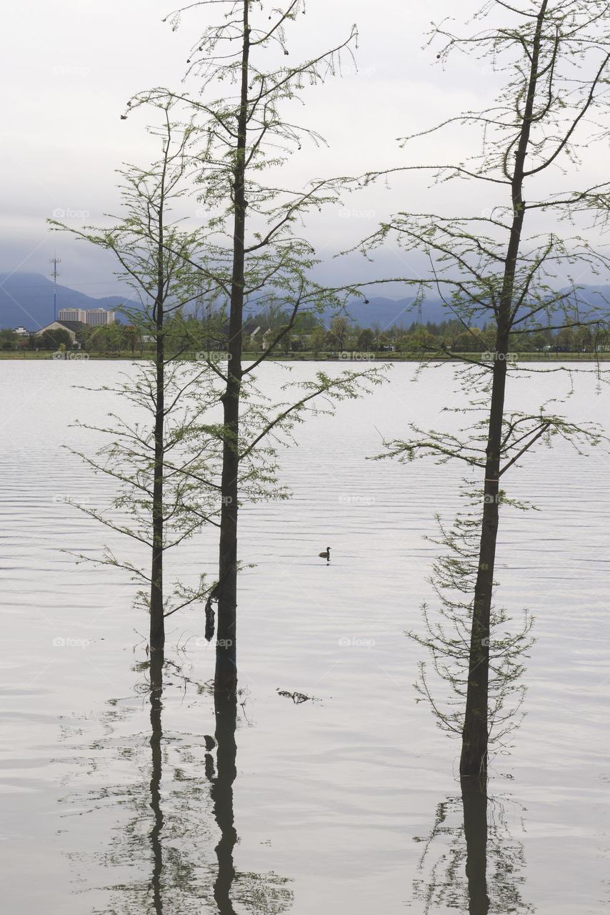 铜鉴湖