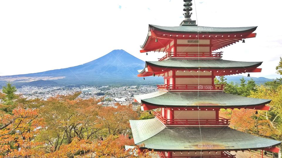 Pagoda and mount Fuji in the fall