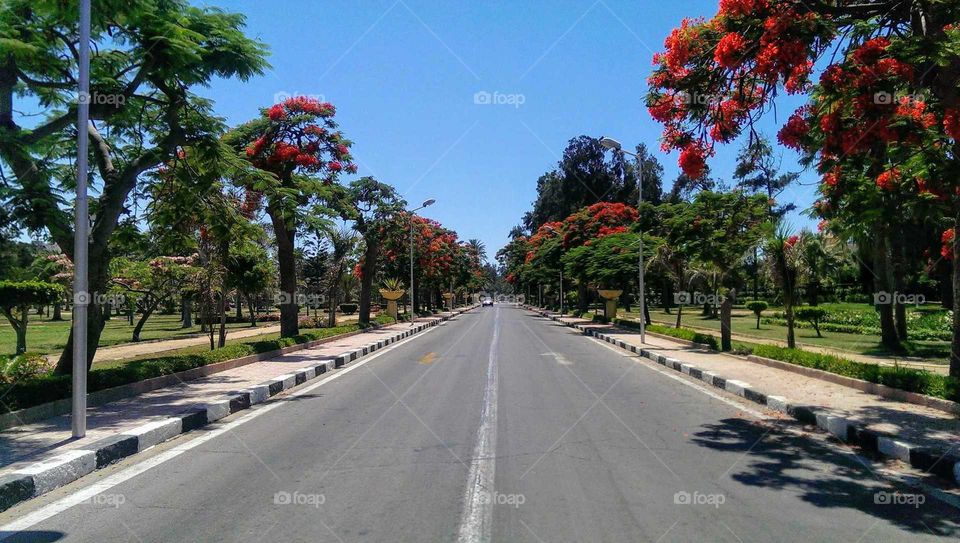 El Montaza Gardens, Alexandria,Egypt