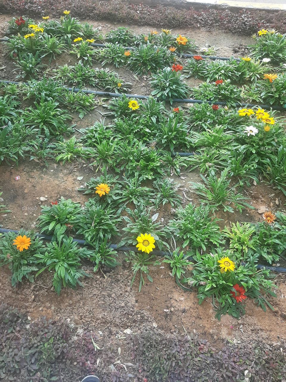 I need support I'm very poor