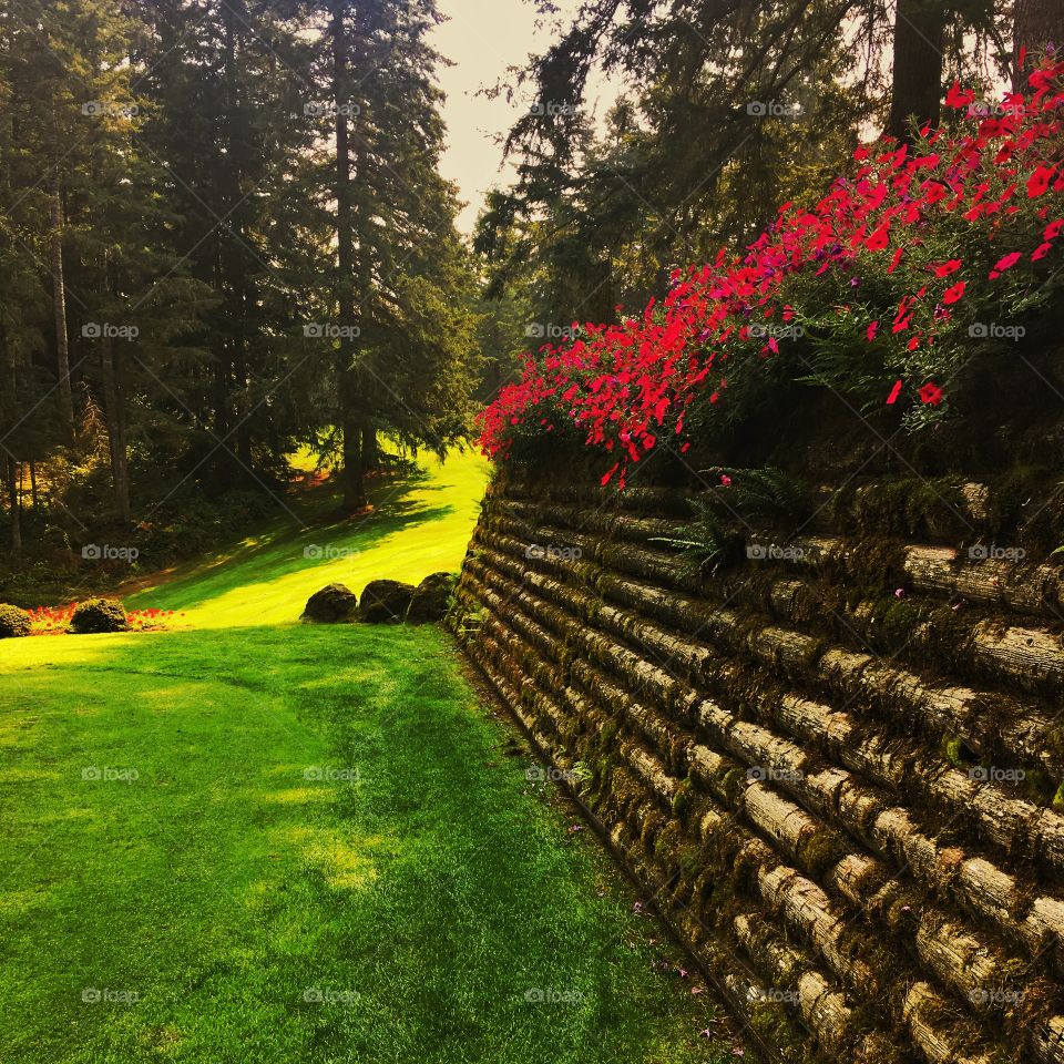 Tee Box, Gold Mountain Golf Course, Bremerton, WA