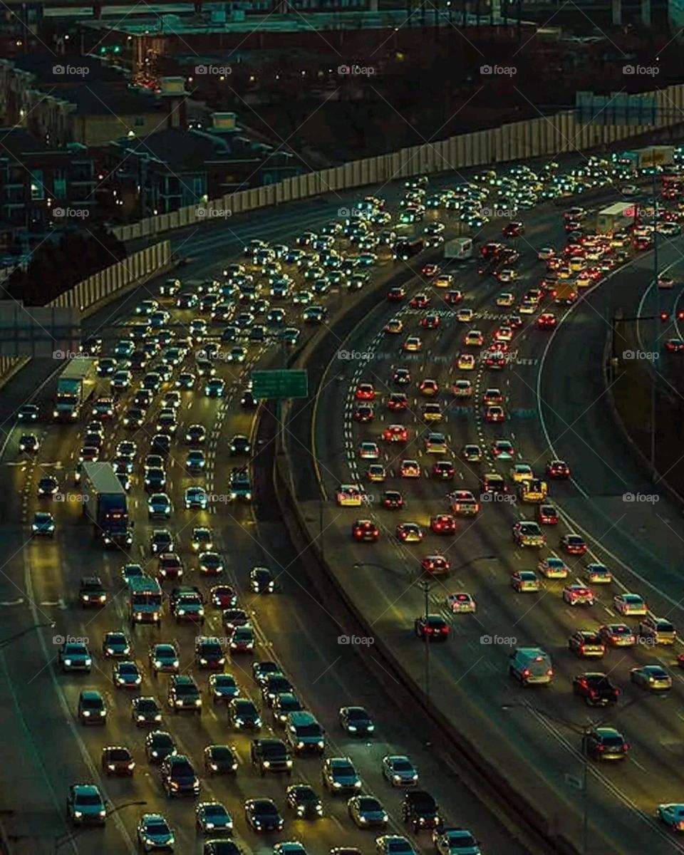 A very beautiful picture, and there is no better picture than it. There is no better picture of green herbs and colorful, red and white roses than it. Glory be to God, the natural and picturesque view, and there is no more