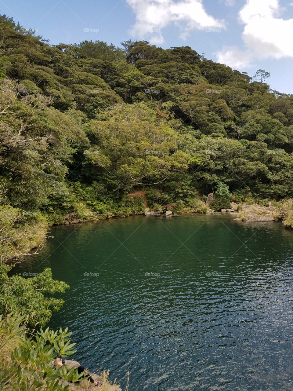 Hidden pond in Okinawa Prefecture