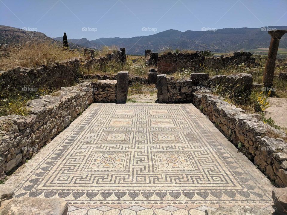 Amazing, Preserved, Angular, Spiral Ceramic Mosaic (with Animals) at the Ancient Roman Ruins of Volulibis in Morocco
