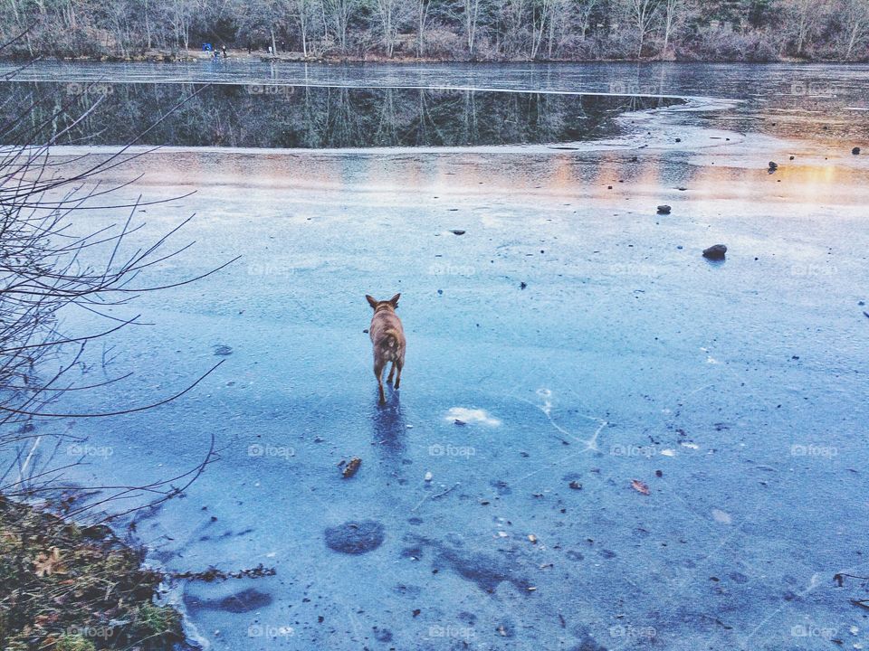 Knox is a bit confused over where the water went...