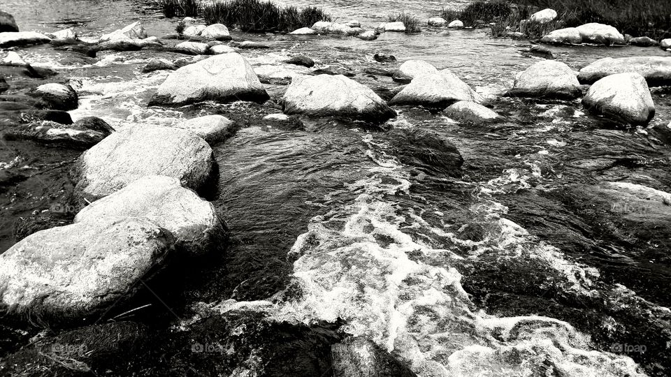 River black and white