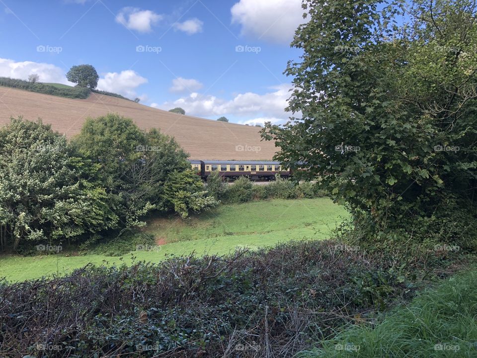 Autumn Devon countryside with a bonus of a glimpse of a passing iconic steam train.