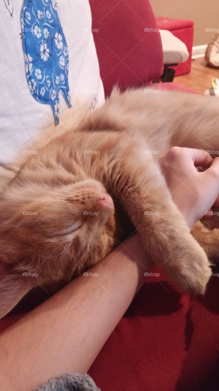 Tobi holding on to my arm sleeping