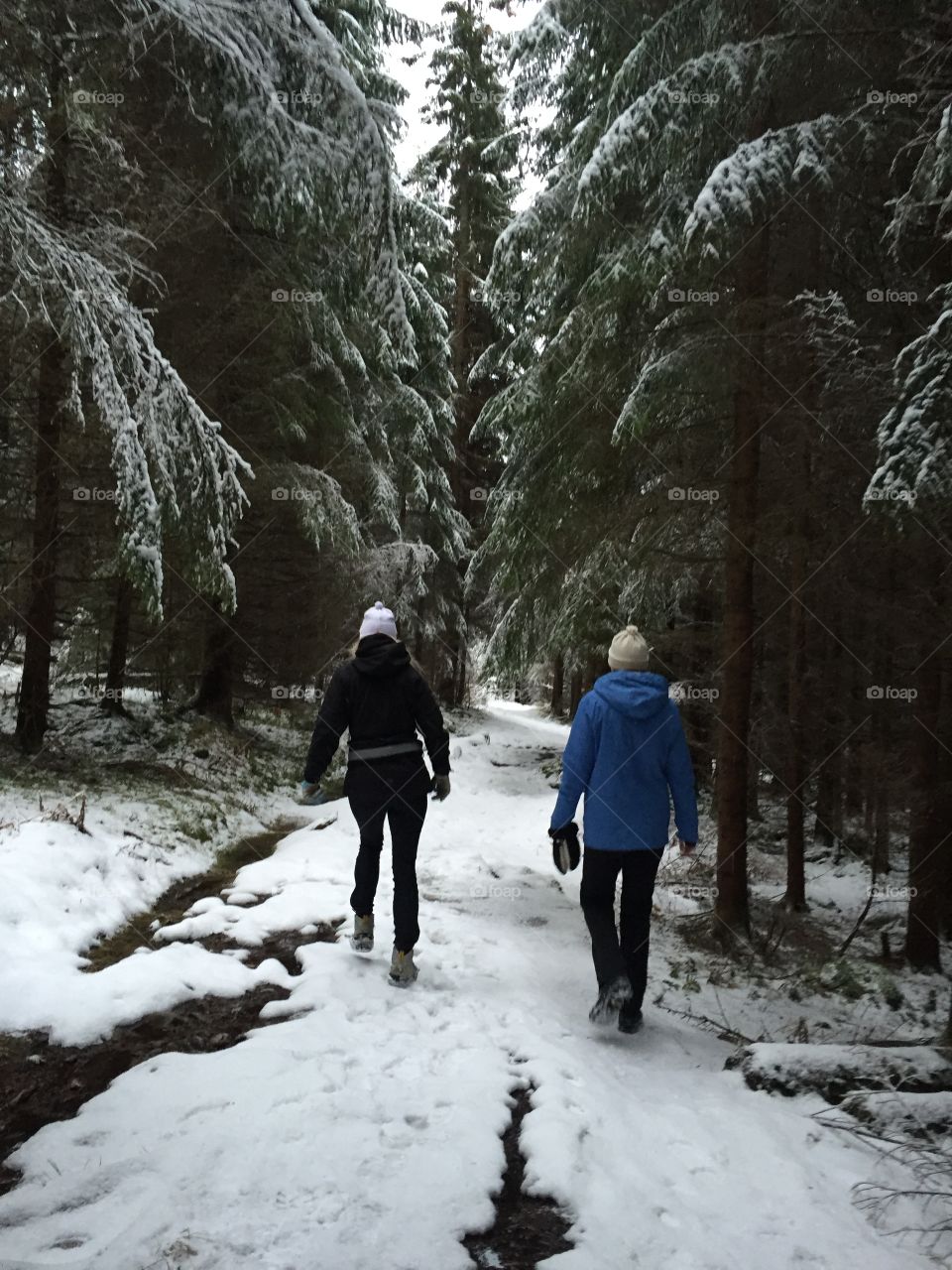 Hiking in the forest