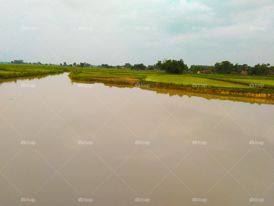 River pond lake water agriculture trees nature