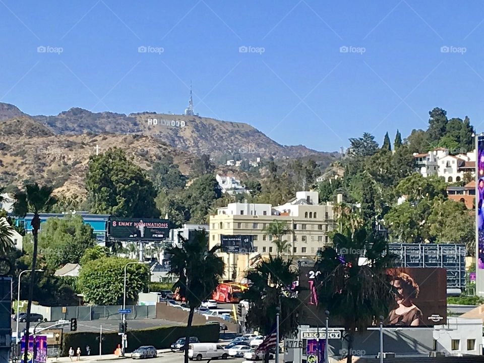Hollywood🌴