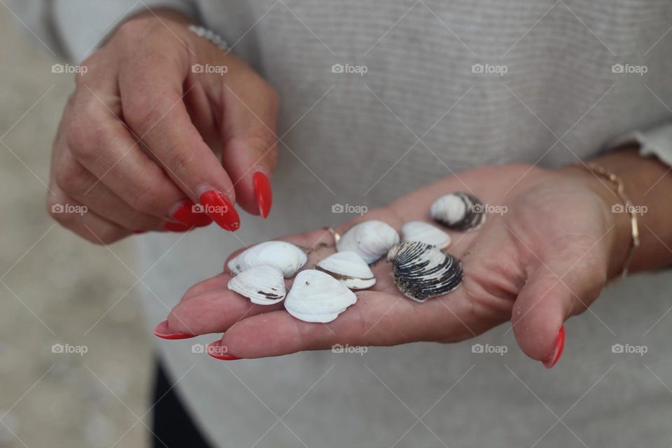 Small shells on the woman's palm