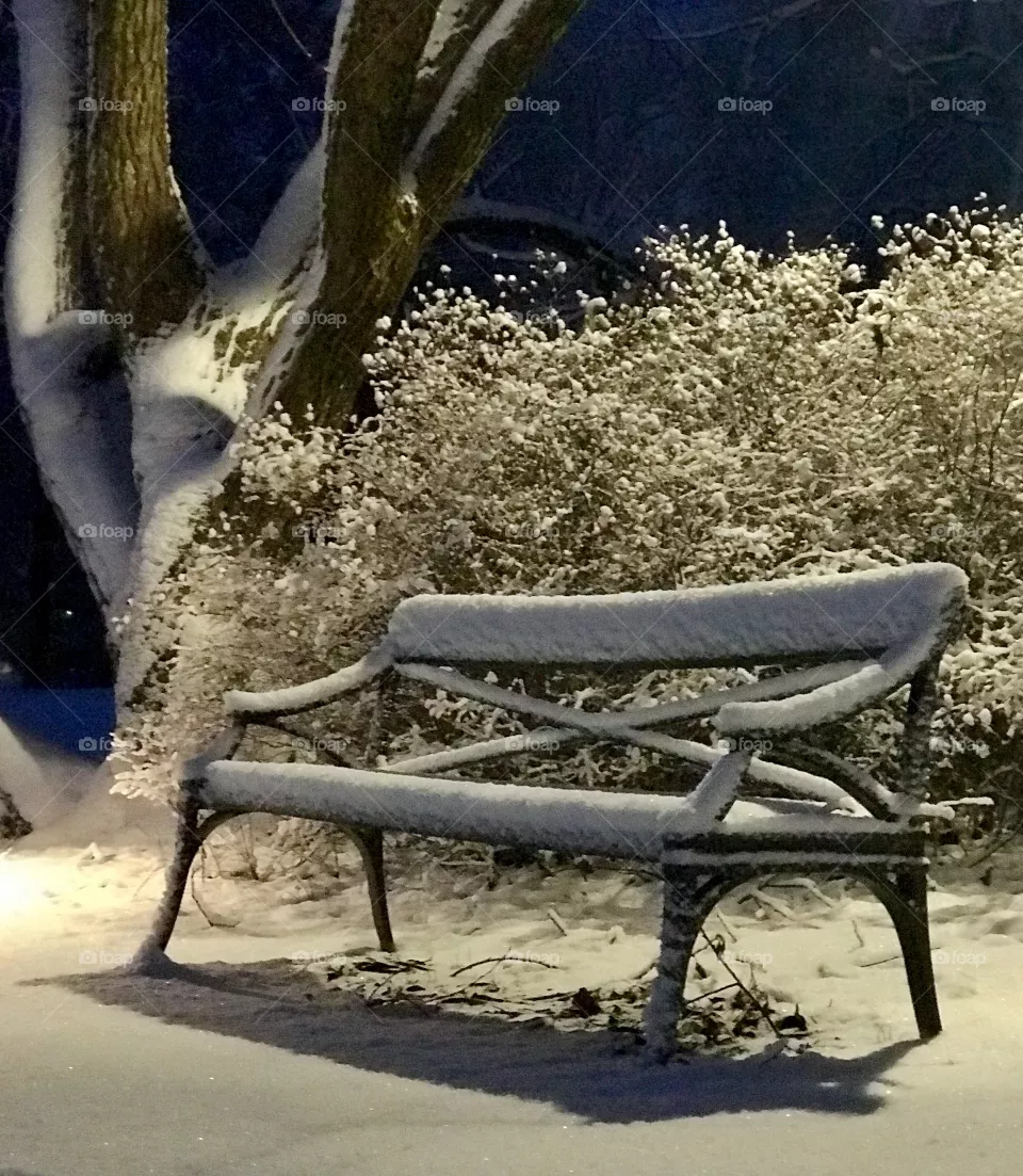 Winter